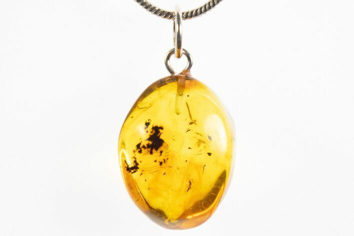 Polished Baltic Amber Pendant (Necklace) - Contains Fly! #328504